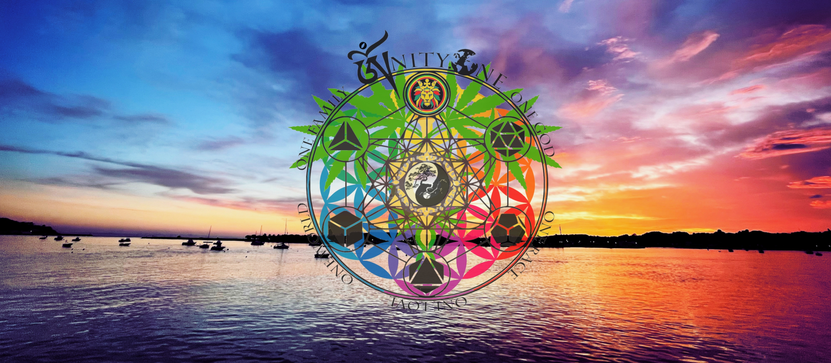 New web page www.zionterranova.com